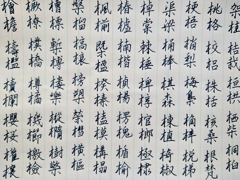 行書の字の写真