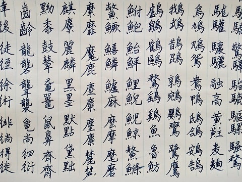 行書の字の写真
