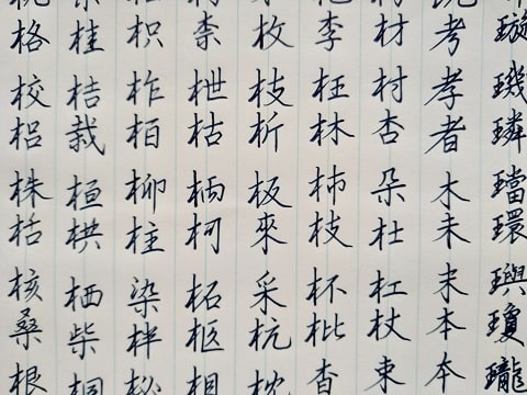 行書の字の写真