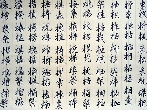 行書 行書の字の写真