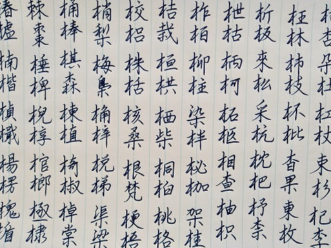 行書の字の写真