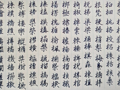 行書の字の写真