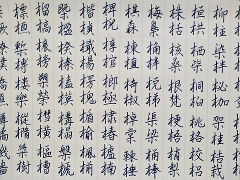 行書の字の写真
